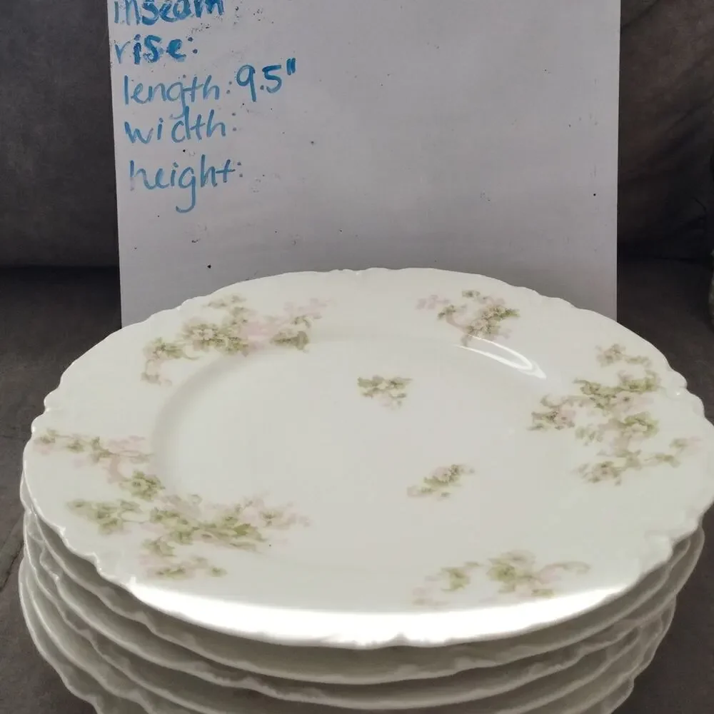 Limoges vintage theodore